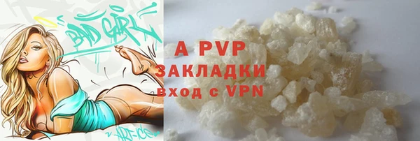 тгк Нея