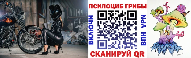 Псилоцибиновые грибы мухоморы  даркнет сайт  Козловка 